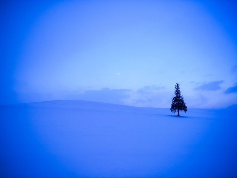 冬日田野雪后风景壁纸