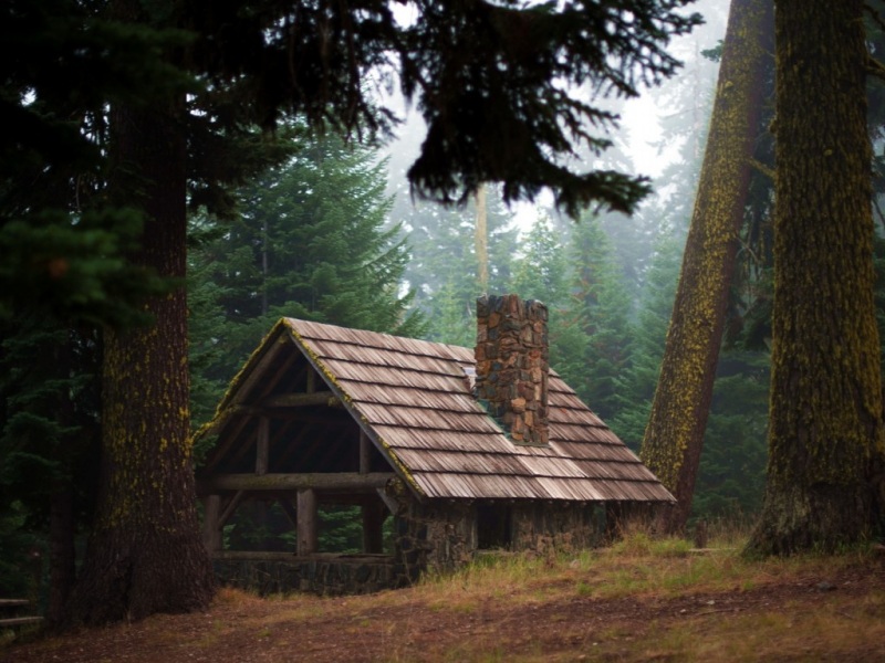 自然森林搭配大树小屋的电脑动漫壁纸来啦