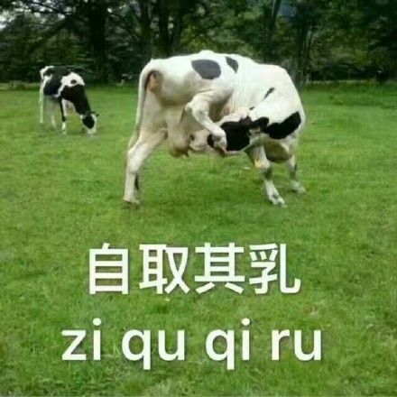 1月14日热门表情图合集来啦