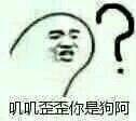 吵架怼人能用的表情包合集