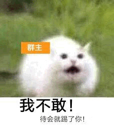 群主的反击表情包合集