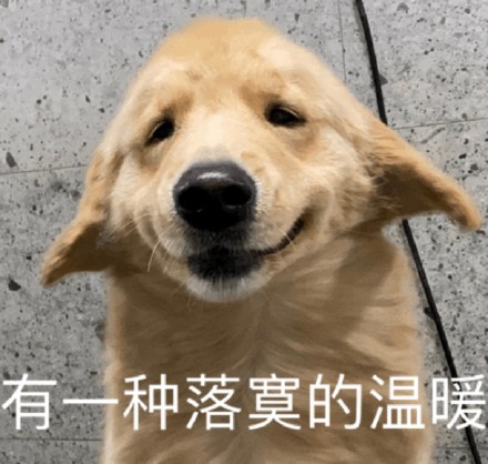 聊天斗图别愁！这套奇奇怪怪动物表情包太好用了