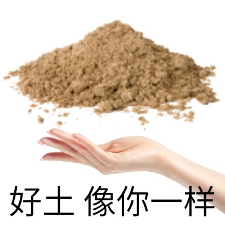 聊天斗图不用愁！这套实用表情包包你赢