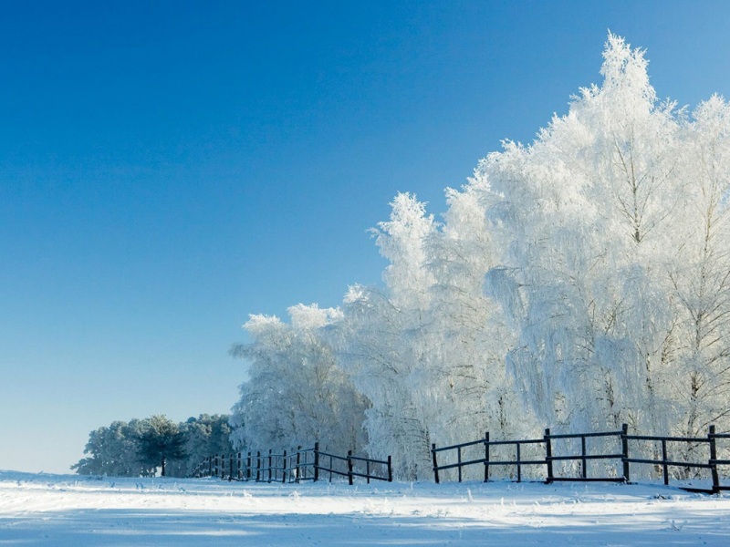 氛围感拉满！雪景栅栏风景电脑动漫壁纸合集