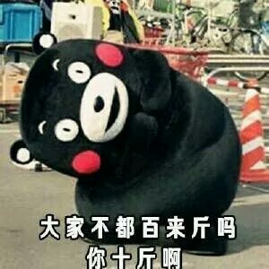 用熊本熊怼人表情包斗图？这套素材刚好适配