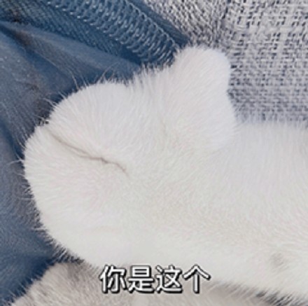 聊天必备！这款点赞竖大拇指表情包太好用了