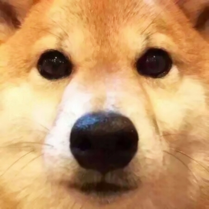 22张超萌喵星人情侣头像 高清可爱直接用