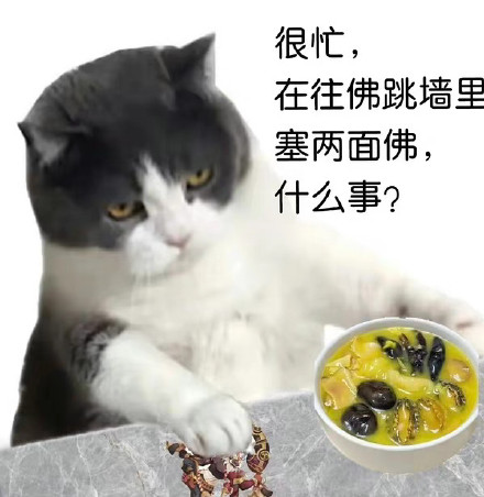 这套猫猫很忙表情包，梗点笑到打鸣
