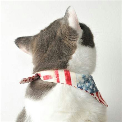 猫咪情侣头像一左一右！20张高清可爱的配对头像合集