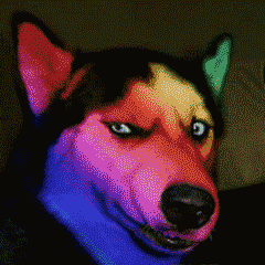 看谁不顺眼就甩给他！这套闪瞎眼表情包太绝了