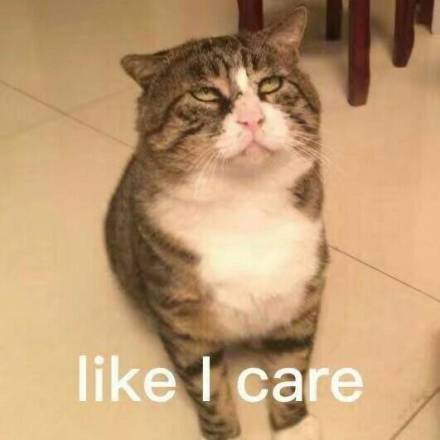 整理好的一波英文表情包合集 斗图直接用