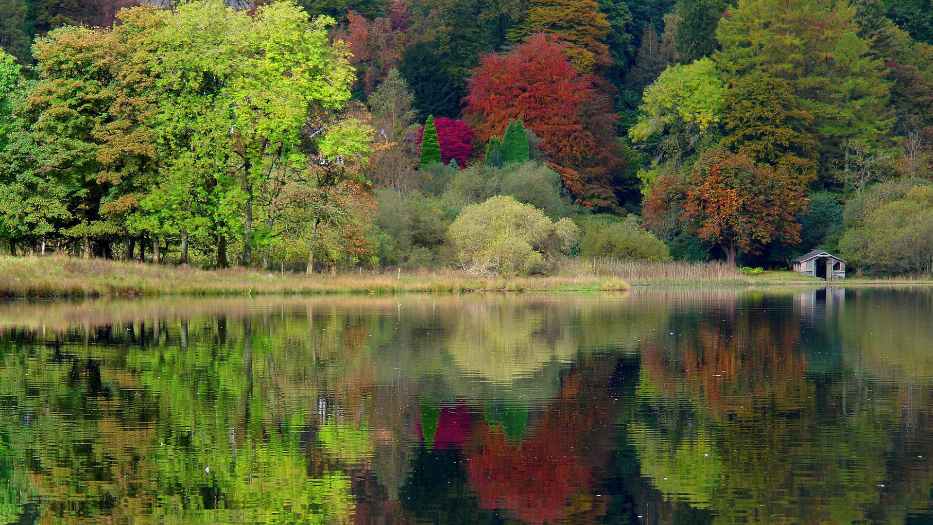 丛林小屋配河水倒影！这套自然风景壁纸太治愈了