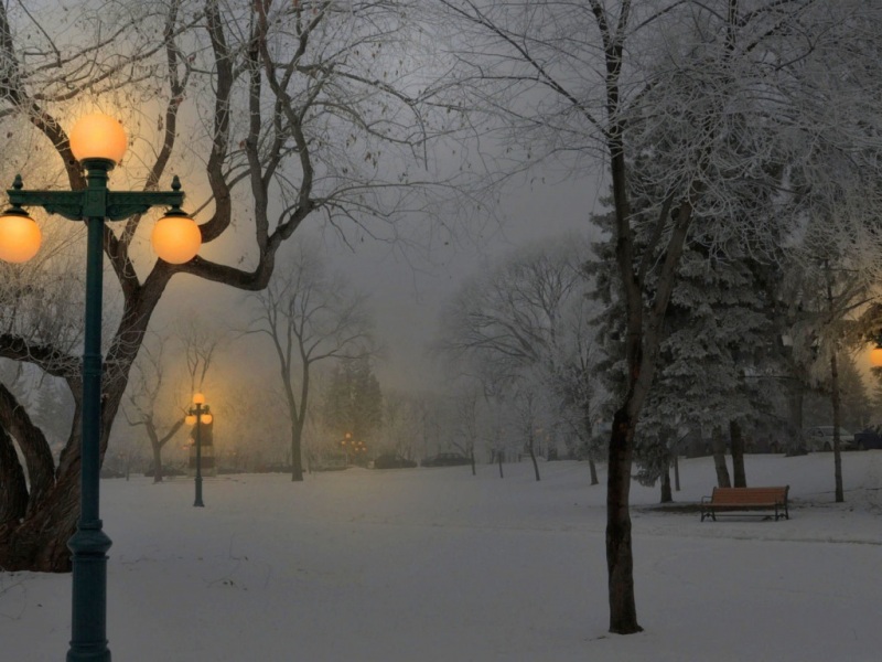 冬日雪后公园长椅路灯风景电脑壁纸