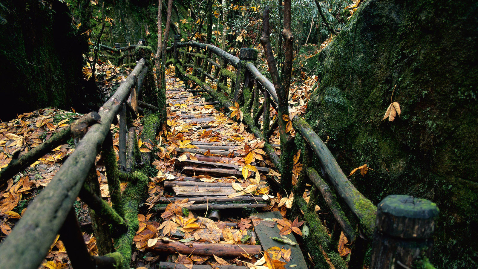 九寨沟秋日风景电脑动漫壁纸推荐
