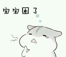 仓鼠撒娇表情包来啦！软萌仓鼠超会撩