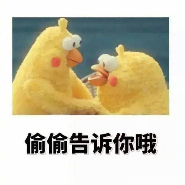 鹦鹉兄弟版“偷偷告诉你”表情包来啦