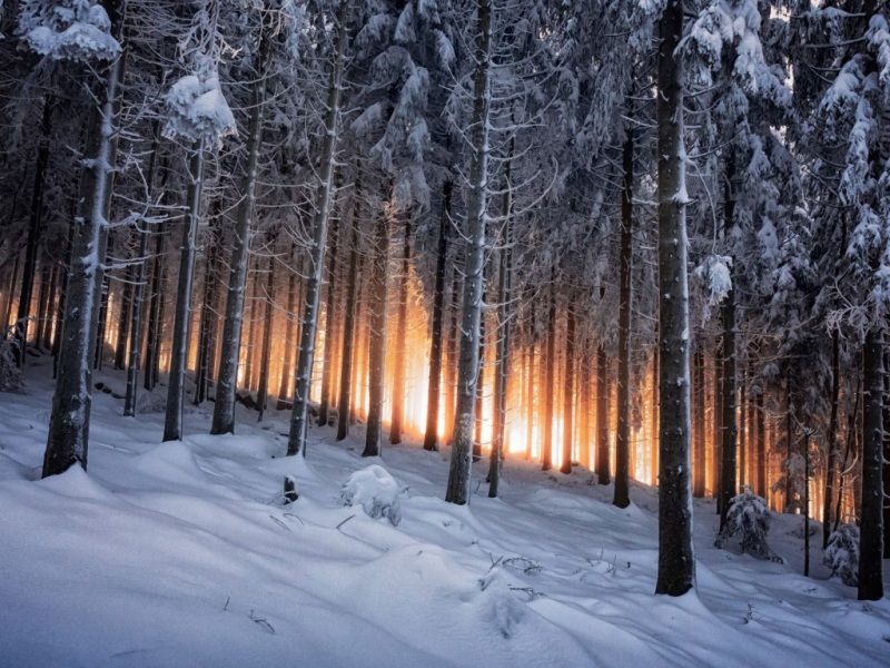 德国黑森林冬日雪景 适配多尺寸电脑桌面壁纸