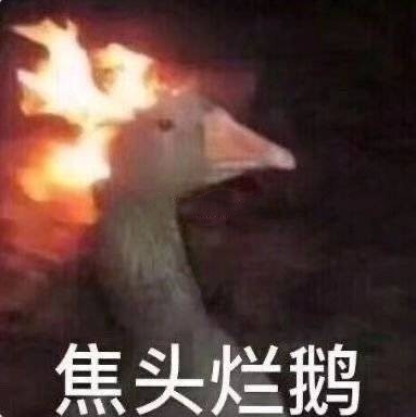 今天的快乐源泉！这份沙雕表情包合集收好