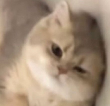 聊天斗图没文字？这款无字表情包合集超好用