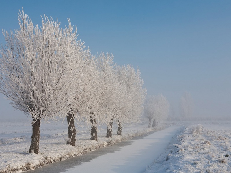 氛围感拉满！白茫茫雪景电脑动漫壁纸推荐