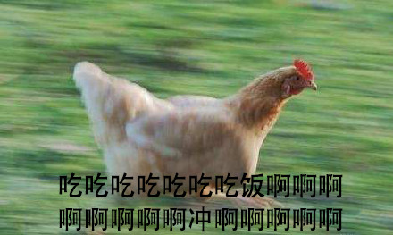 开饭啦！快喊上搭子一起冲这组表情包