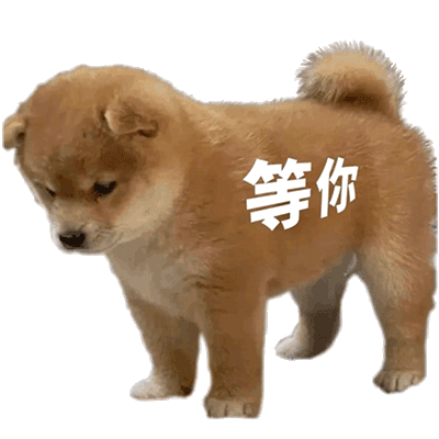 聊天斗图必备！站岗小狗表情包合集整理好了