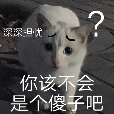 猫咪喵星人斗图表情包合集来啦