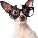 妹子斗图必备！这套软萌小动物表情包赶紧收好