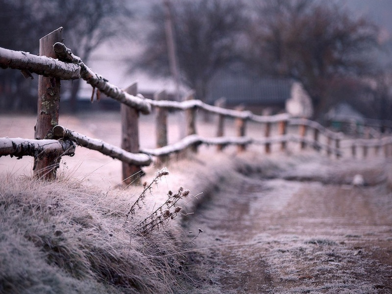 冬日乡村雪景电脑壁纸 高清动漫风桌面背景可选多尺寸
