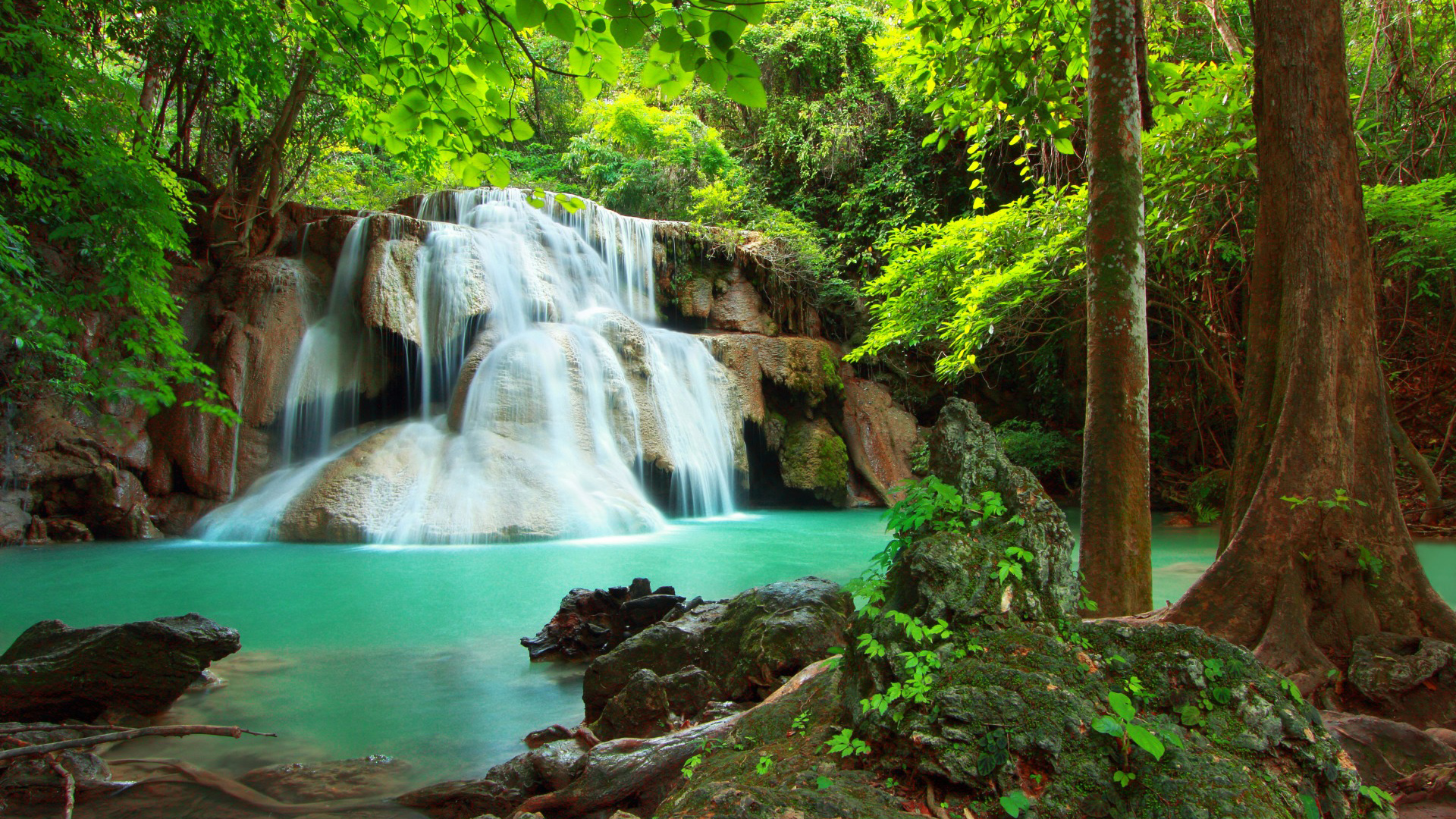 森林河流瀑布风景壁纸 护眼自然电脑桌面图