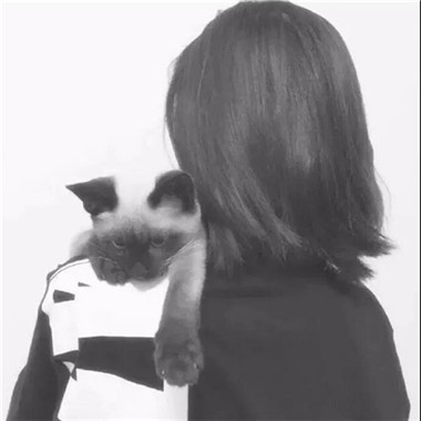 一男一女带猫咪的情侣头像来啦！12张高清帅气抱猫情头合集