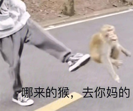 又有一批奇怪的斗图表情包上新啦