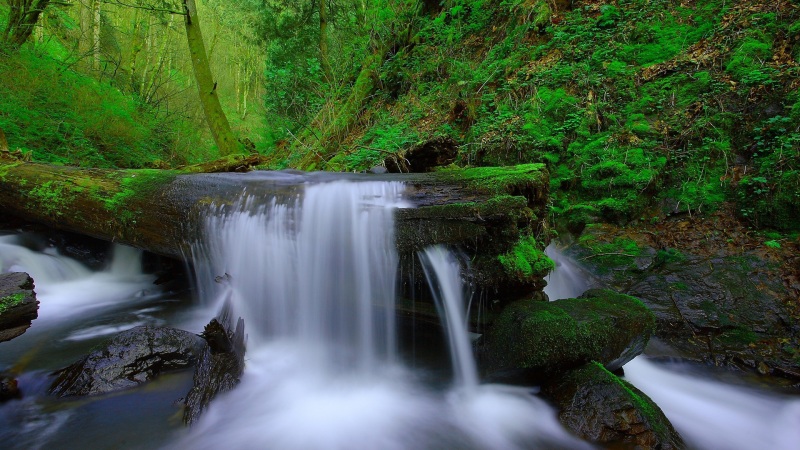 超治愈！绿色丛林小溪瀑布电脑桌面壁纸合集