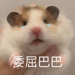 聊天斗图别愁！这套小仓鼠表情包直接封神