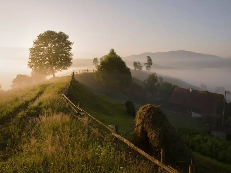喀尔巴阡山晨间雾乡风景 动漫风电脑桌面壁纸