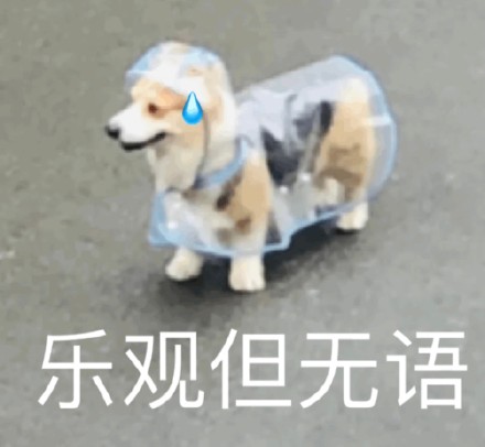 聊天斗图别愁！这套奇奇怪怪动物表情包太好用了