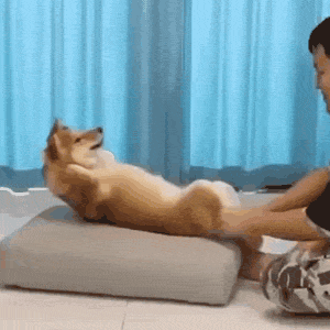 又有一批奇怪的斗图表情包上新啦