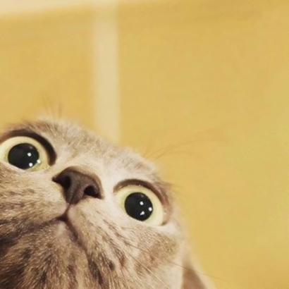 22张超萌喵星人情侣头像 高清可爱直接用