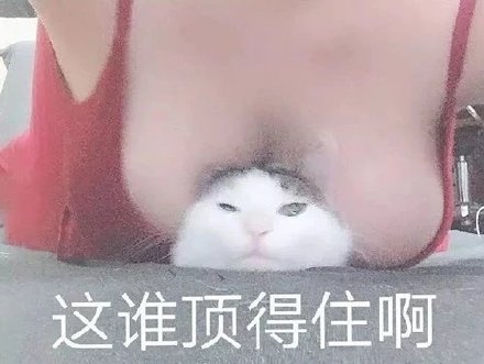 「这谁顶得住啊」表情包合集来了