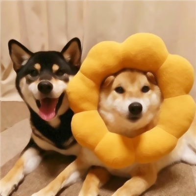 魔性又上头！10组搞怪情侣头像一对两张高清版