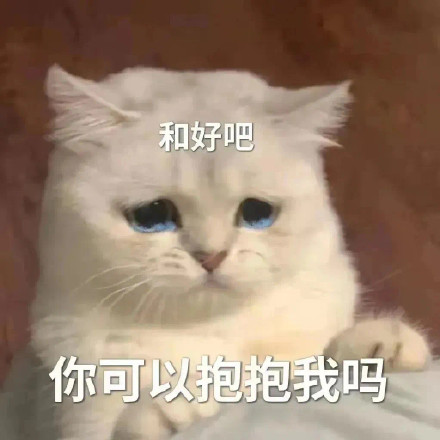 猫咪哭泣流泪猫猫头表情包合集来啦