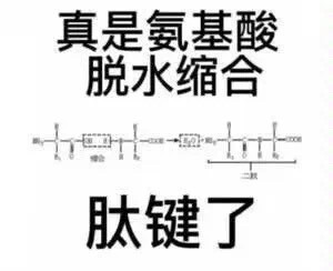 理科生斗图专属！化学梗表情包合集来了