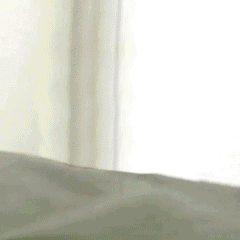 超火的狗勾玩飞刀表情包合集