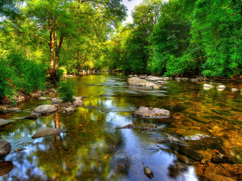 埃克斯穆尔森林湖泊自然风景高清电脑壁纸