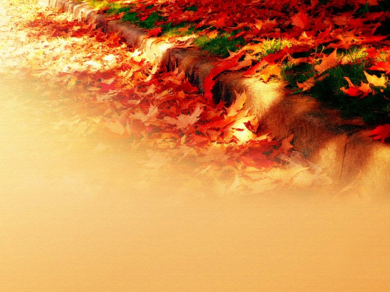 超实用红叶风景电脑桌面背景 多款分辨率可选