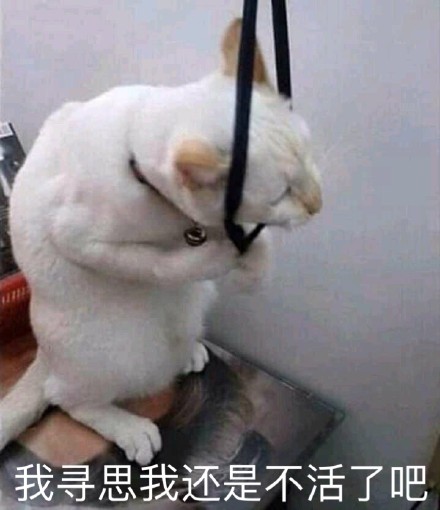 9月21日斗图表情包合集来啦