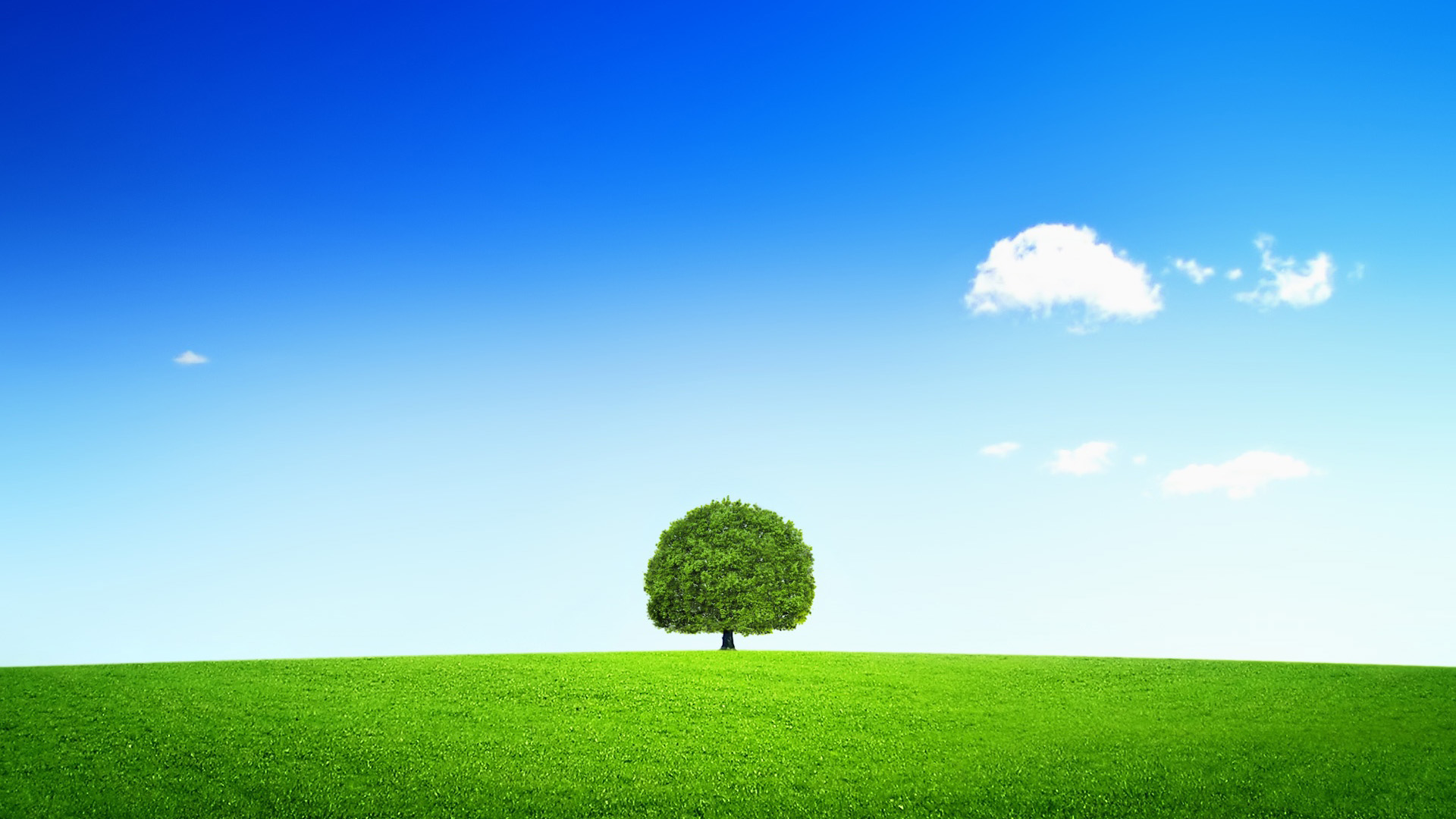 一棵树配蓝天白云的绝美风景壁纸