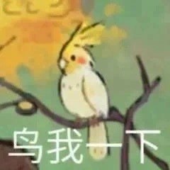 聊天斗图神器！发疯表情包合集来啦