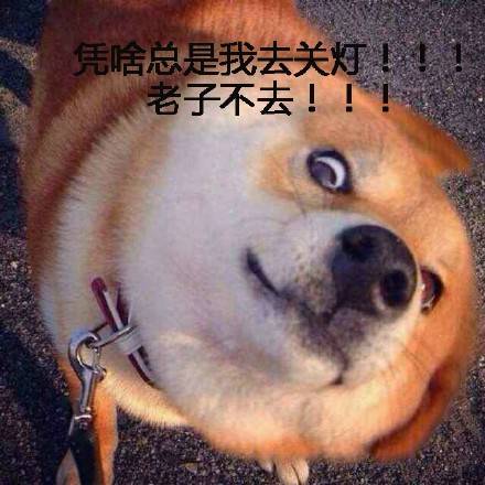 宿舍关灯内卷现场！这组表情包精准戳中当代大学生日常