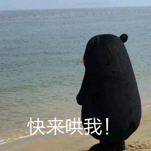 熊本熊恋爱聊天表情包合集